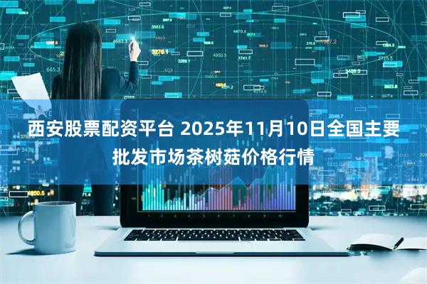 西安股票配资平台 2025年11月10日全国主要批发市场茶树菇价格行情