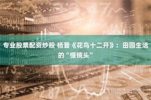 专业股票配资炒股 杨晋《花鸟十二开》：田园生活的“慢镜头”